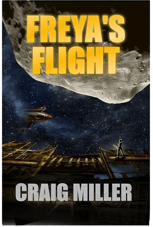 I Recommend this book